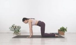 瑜伽入门视频,入门视频精华解析