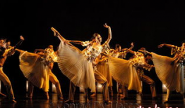 蝴蝶舞蹈视频,蝴蝶舞蹈视频中的自然之美与艺术魅力